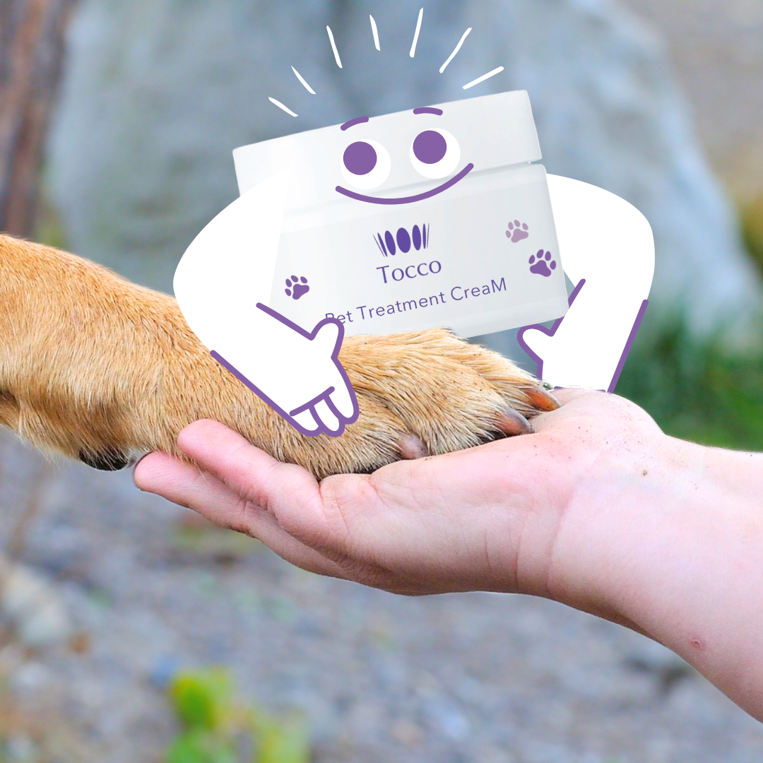 �^�C�g���F�v�j�v�j�����̖���TOCCO�����N���[��